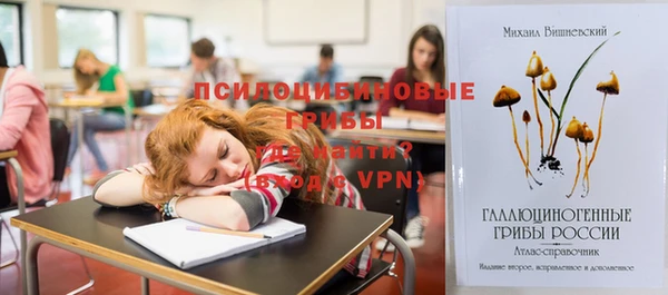 тгк Аркадак