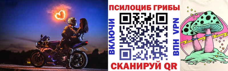 mega   дарк нет клад  Псилоцибиновые грибы Psilocybe  Шелехов 